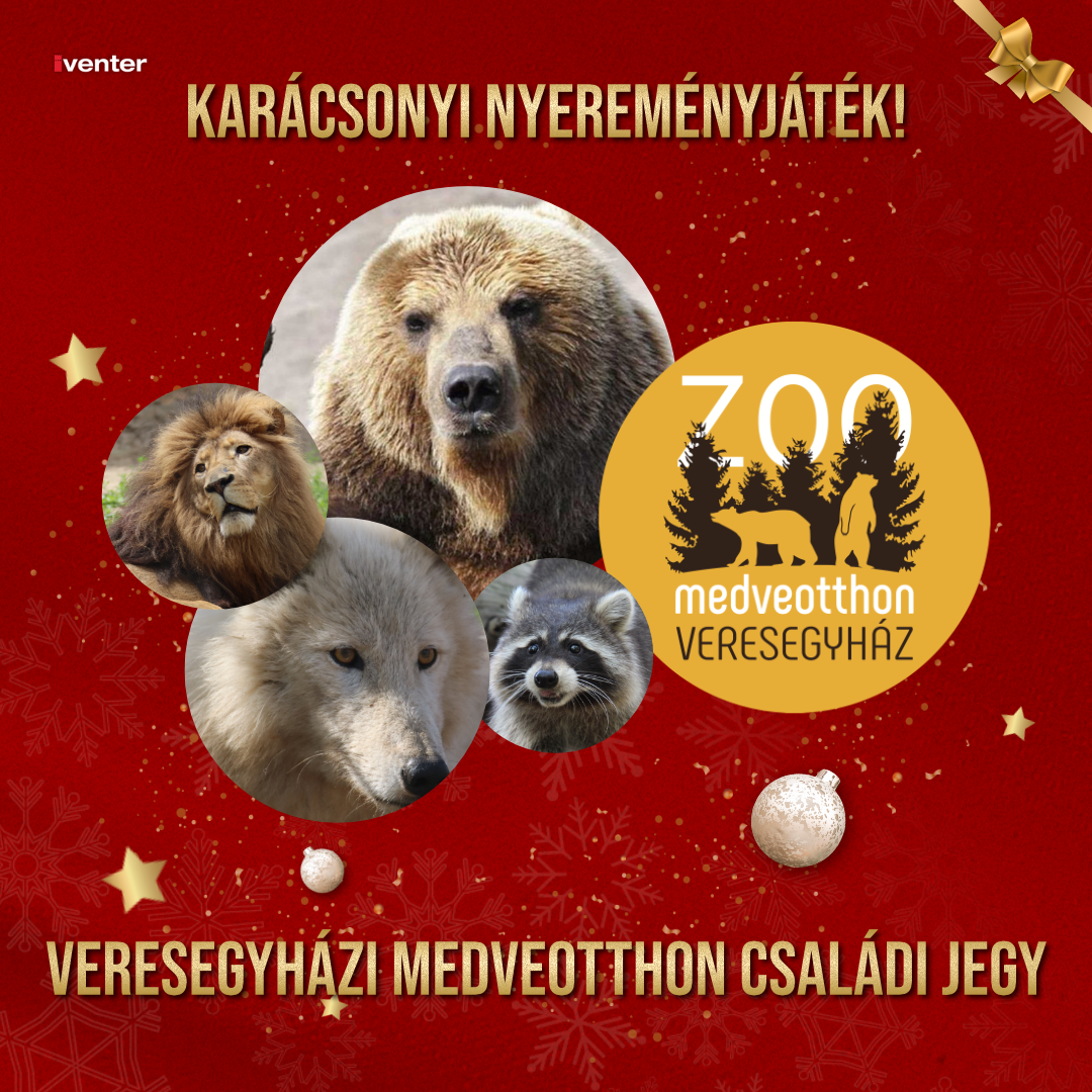 iventer-karácsony-2025-veresegyházi