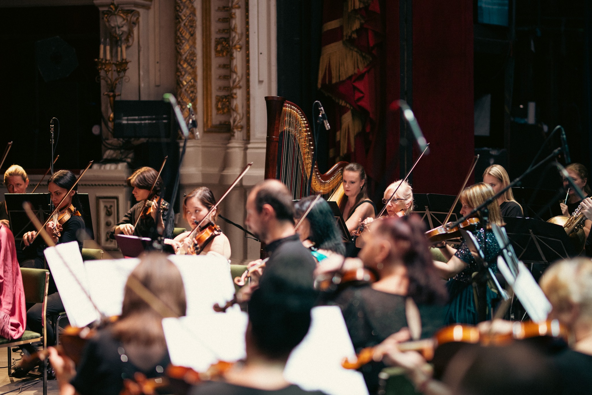 548209898_1385242133606121_7804556378545257347_n