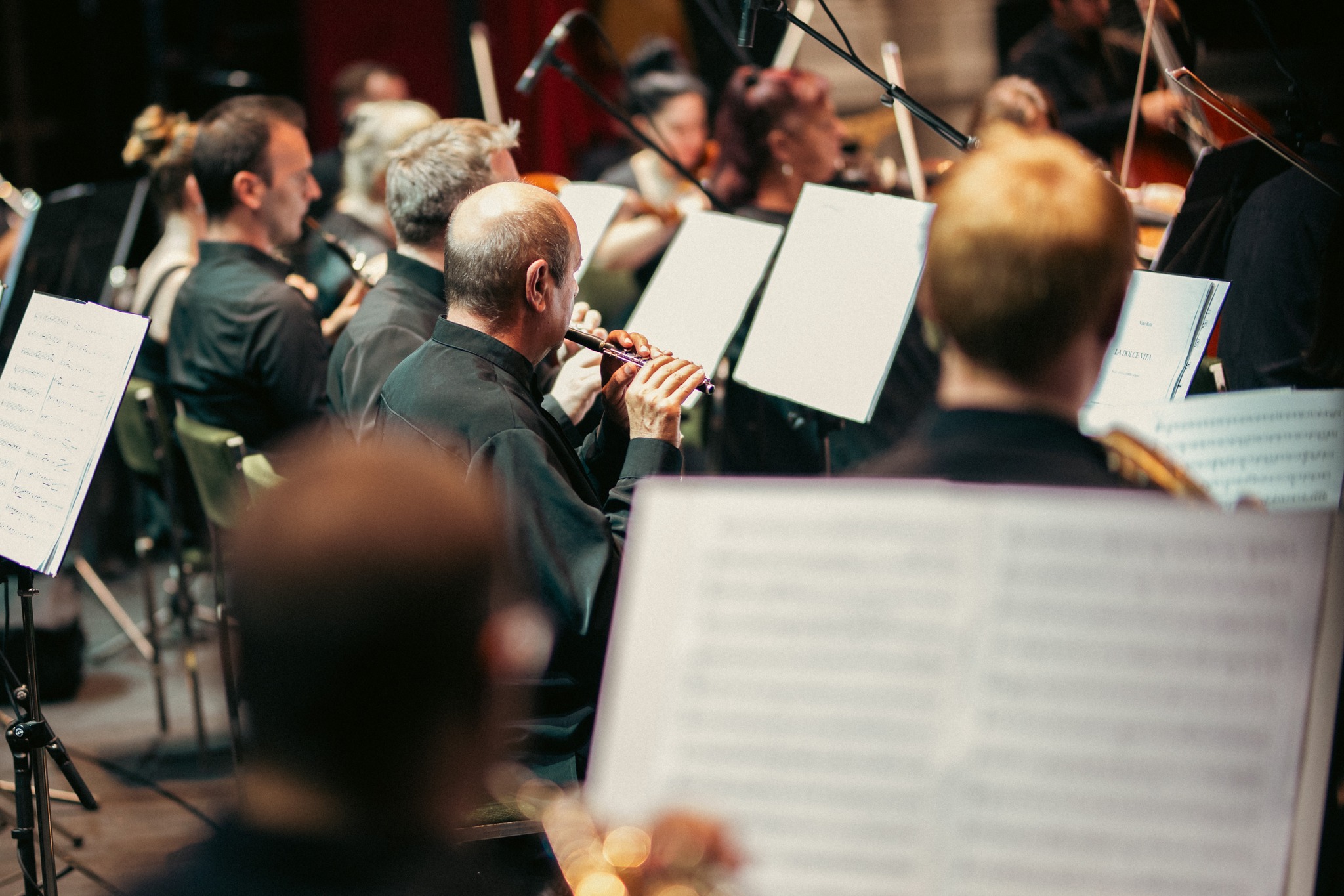 548989048_1385241896939478_8449407074427232560_n